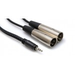 HOSA - CYX-402M Stereo Breakout (3.5 mm TRS to Dual XLR3M / 2 m)