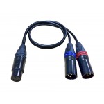 Cable Techniques - XLR-5F to (2) XLR-3M "Y" Cable