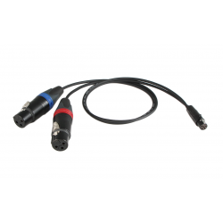 Cable Techniques - (2) XLR-3F "Y" Cable for Sound Devices Scorpio TA5 Inputs