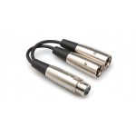 HOSA - YXM-101.5 Y Cable (XLR3F to Dual XLR3M / 1.5 ft)